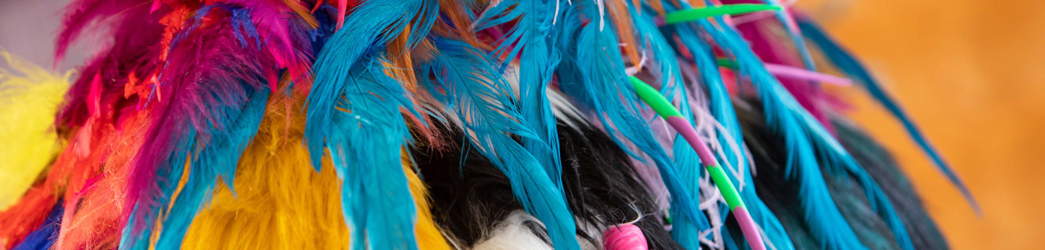 Student work featuring dress constructed with multicoloured feathers