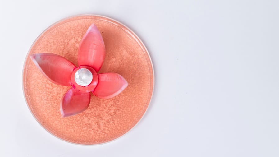 Work for the Swarovski x MA Biodesign project with Central Saint Martins
