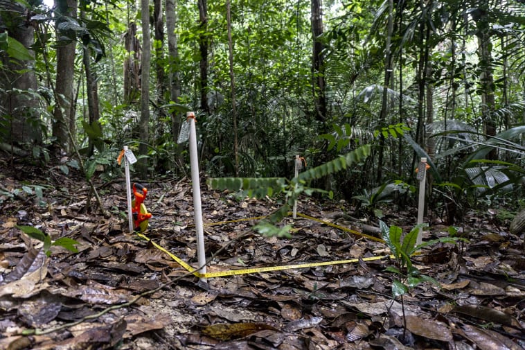 Measuring apparatus in the Rainforest