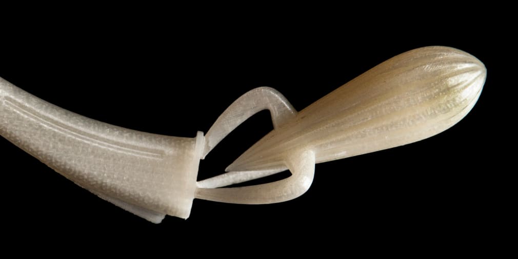 A 3D-scan of a 3D-printed object, in an off-white colour. The top part of the object has the form of a lemon squeezer, with a ridged appearance, rounded top and pointy bottom. Three arms come out of this and attach to the bottom part of the object, which is long, curved and thins towards the end.