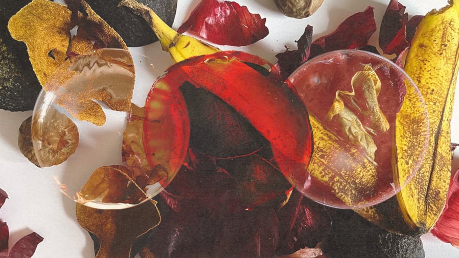 Food waste as art in autumnal colours.
