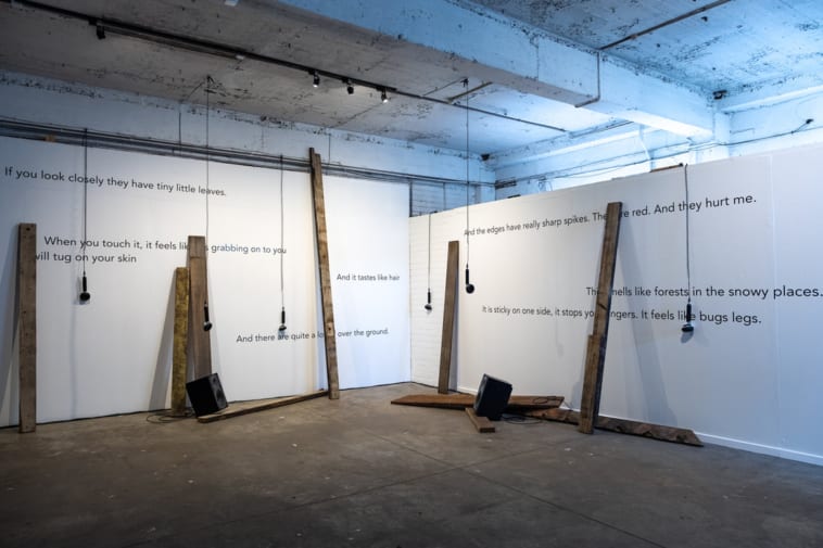 A sound installation featuring 2 white walls with hanging microphones and upright planks of wood against them. In front there are 2 loudspeakers on the floor.  The wall features lines of text such as, “If you look closely they have tiny little leaves”, “And it tastes like hair”, “This smells like forests in the snowy places.” Some of the text is obscured by the planks.