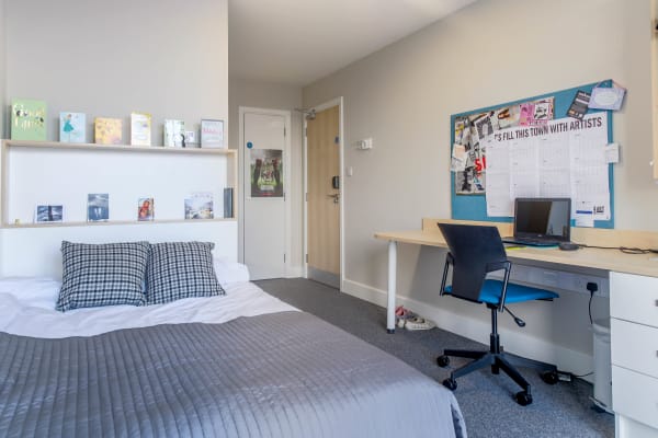 501G-Large-room.jpg
