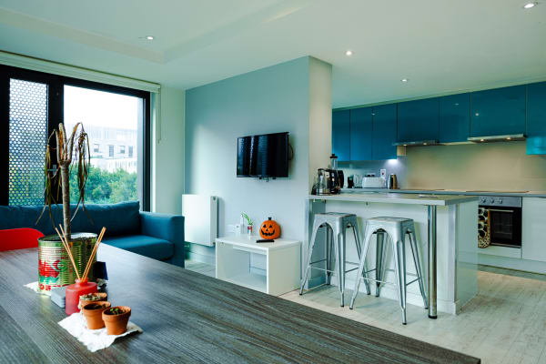 EX-Shared-kitchen-Gardens-House-XL-13.jpg