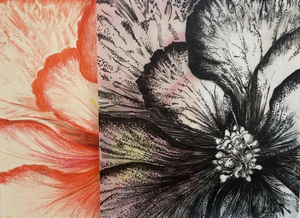 examples-of-other-sketches.jpg