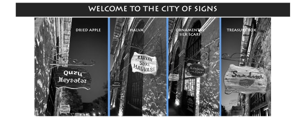 signs_MadinaMasimova.jpg