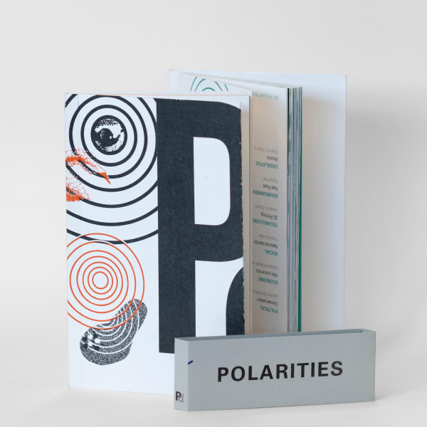 polarities-ma-publishing3.jpg