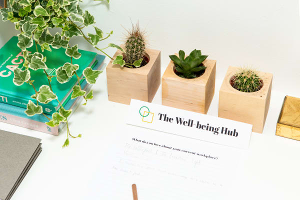 well-being-hub-design-management-gabriela-dittrichova.jpg