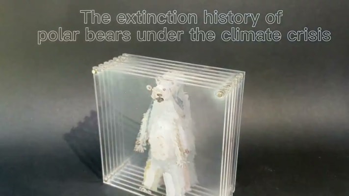 The demise of the future polar bear in under the climate crisis