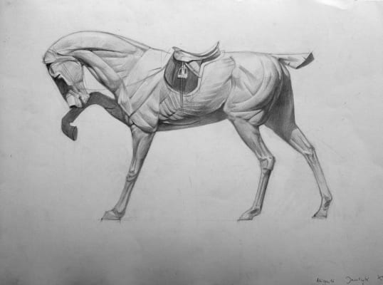 Academic drawing