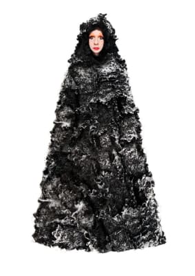 Hybrid of Snow White and Maleficent