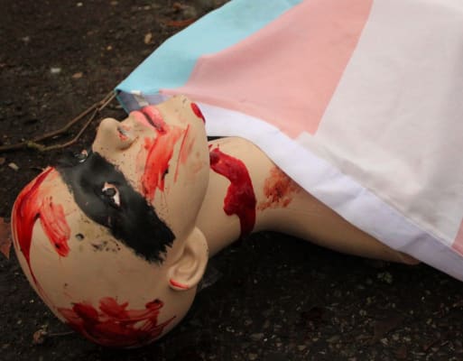 Young Blood (trans rights project)