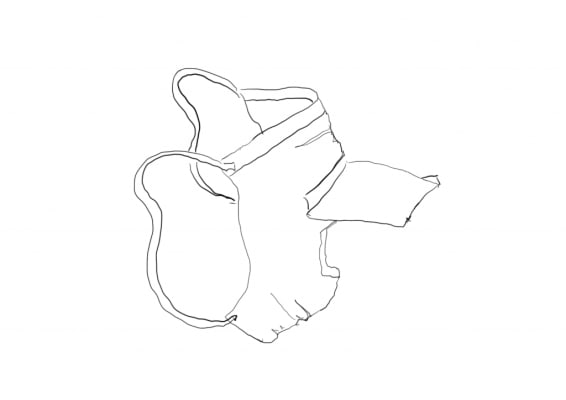 Mask