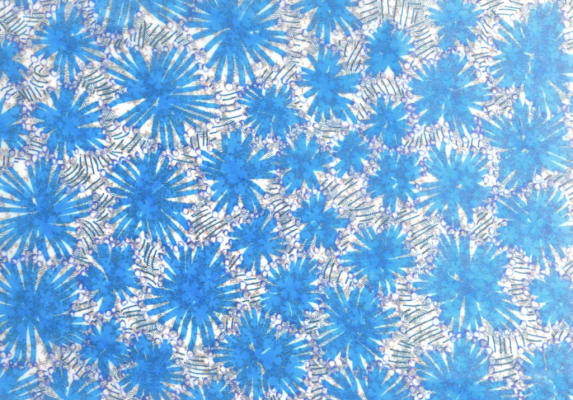 Story of Blue