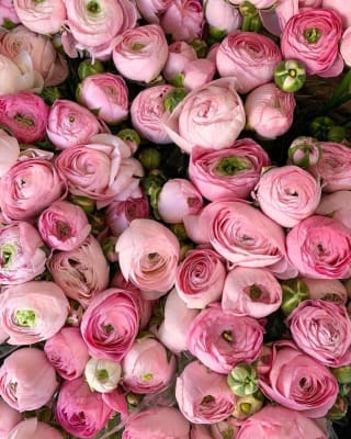 FLOWERHEAD MAGAZINE COVER