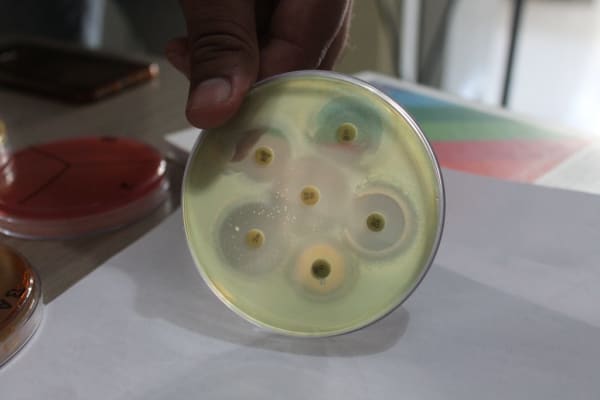 Design’s Role in Social Challenges in The Global South: Resituating Service Design Approaches in Addressing Antimicrobial Resistance in India