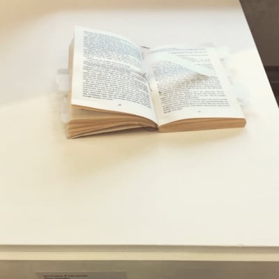 pages