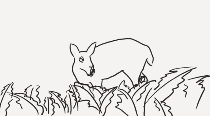 Meet a deer in the deep forest
