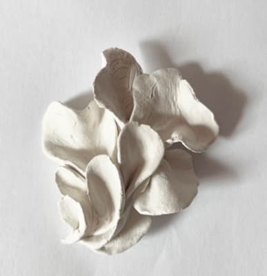 The Second Layer Of Skin