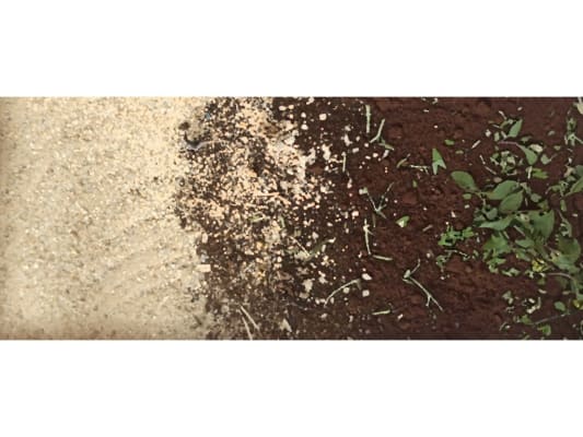From sand to soil
