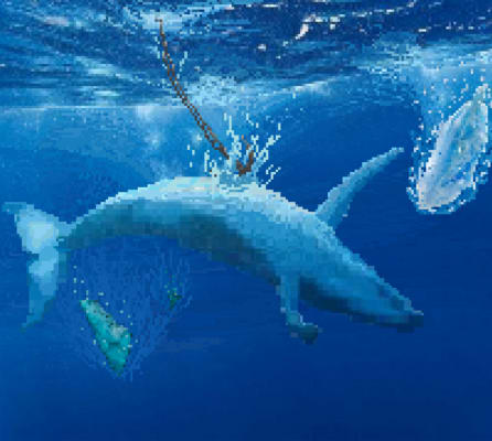 melting whale