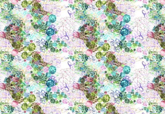 Experimental Process