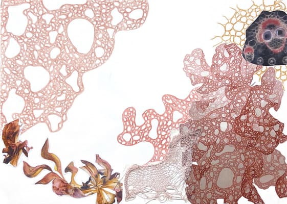 Experimental Process: Knit