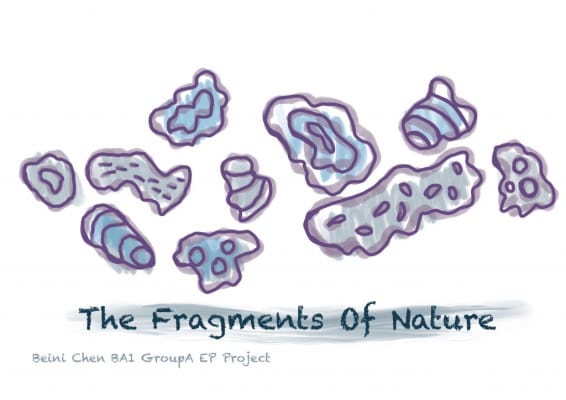 Experimental Process