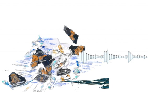 Hear the Sea Sing, EP 2022: Knit