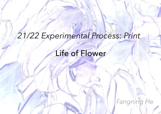 21/22 Experimental Process: Print