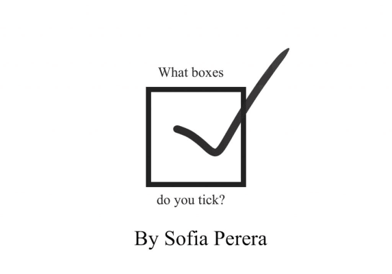 What Boxes Do you tick?