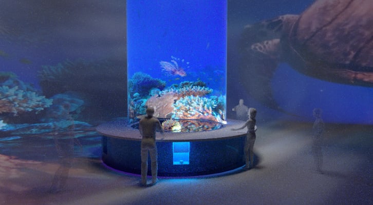 Climate Crisis –Coral Reefs Rescue