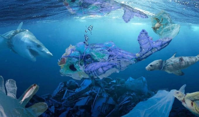garbage dolphin