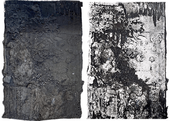 The Sediment of the Sea