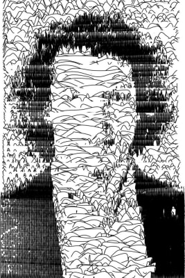 Processing Portraits
