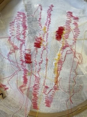 Experimental Process