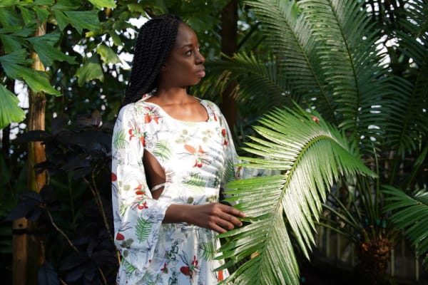 The Native Flora of Africa collection