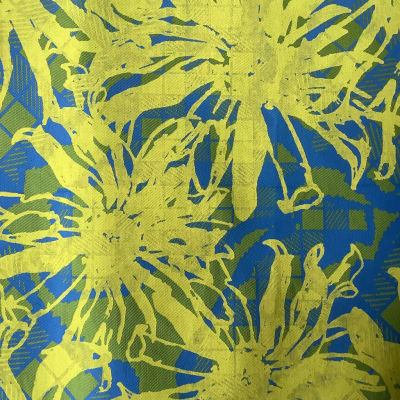 Experimental Process