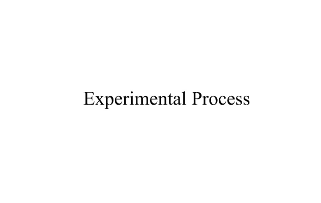 Experimental Process