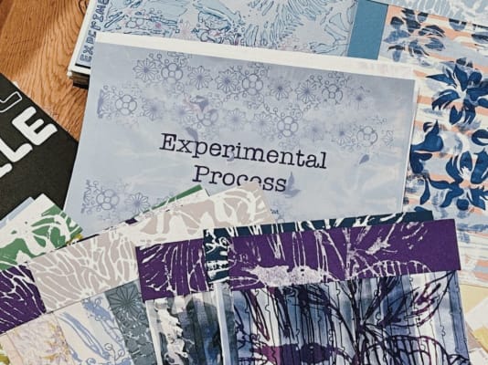 Experimental Process