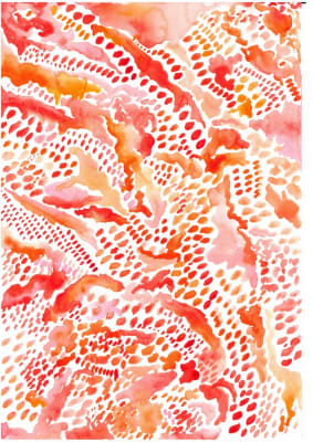 Experimental Process