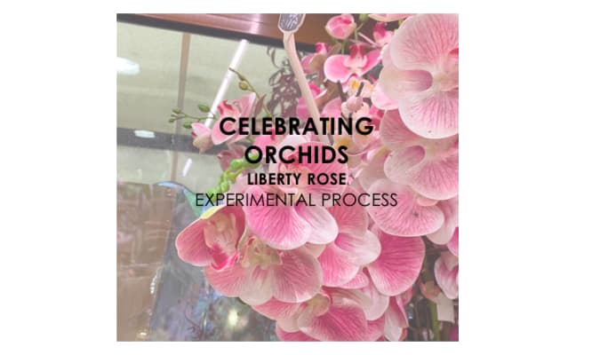 Experimental Process - Celebrating Orchids