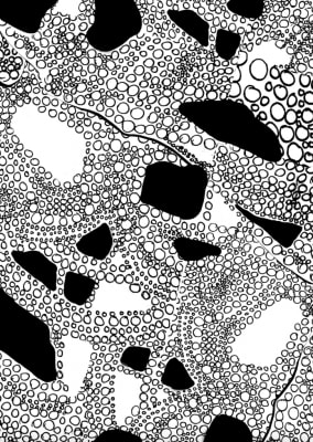 Experimental Process