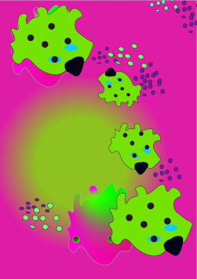 My portfolio For Job /Placement