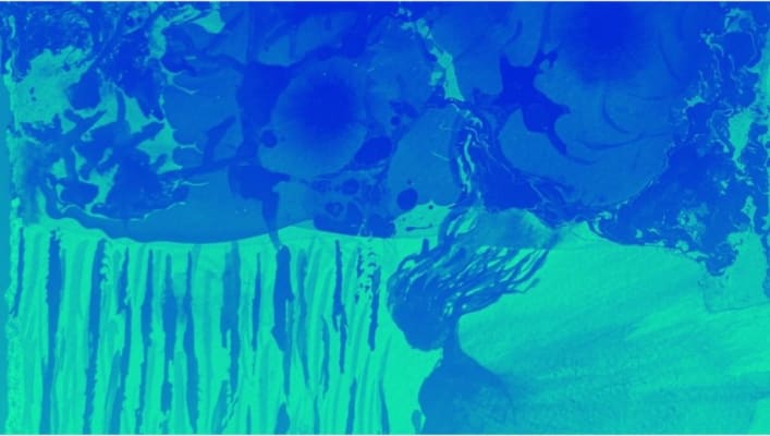 Ink and the bewitching waters