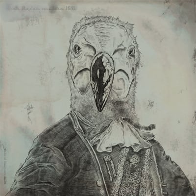 Faces of Extinction