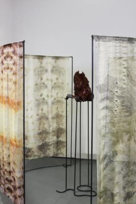 Forest Stand in a Woods (Iteration III)