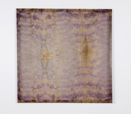 Untitled (Curated Nature I)