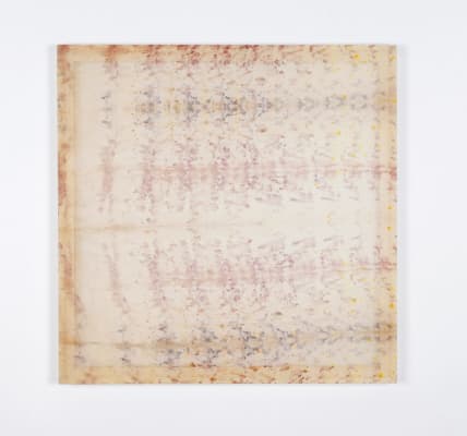 Untitled (Curated Nature II)