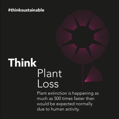 Sustainability Project